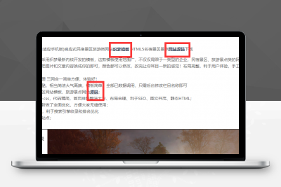 WordPress SEO优化 如何自动为文章添加标签链接增加站点内链