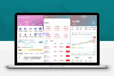二开JAVA香港股票源码/大宗交易新股申购系统源码/vue全开源/内附视频搭建教程M30713